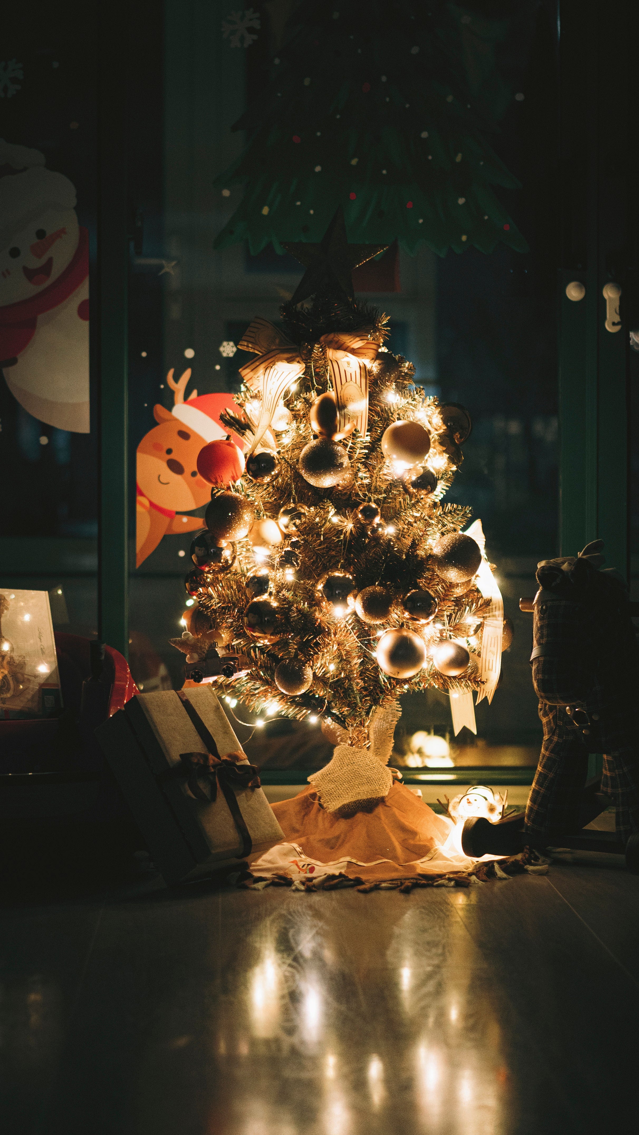 Holiday Special Offer