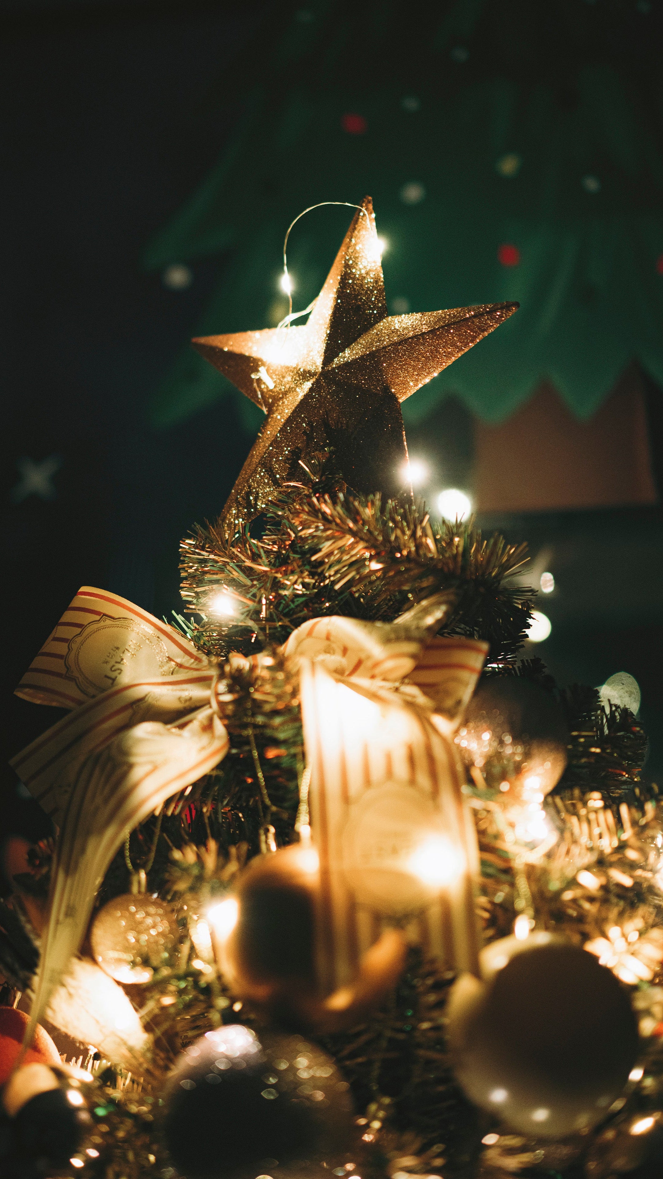 Holiday Special Offer