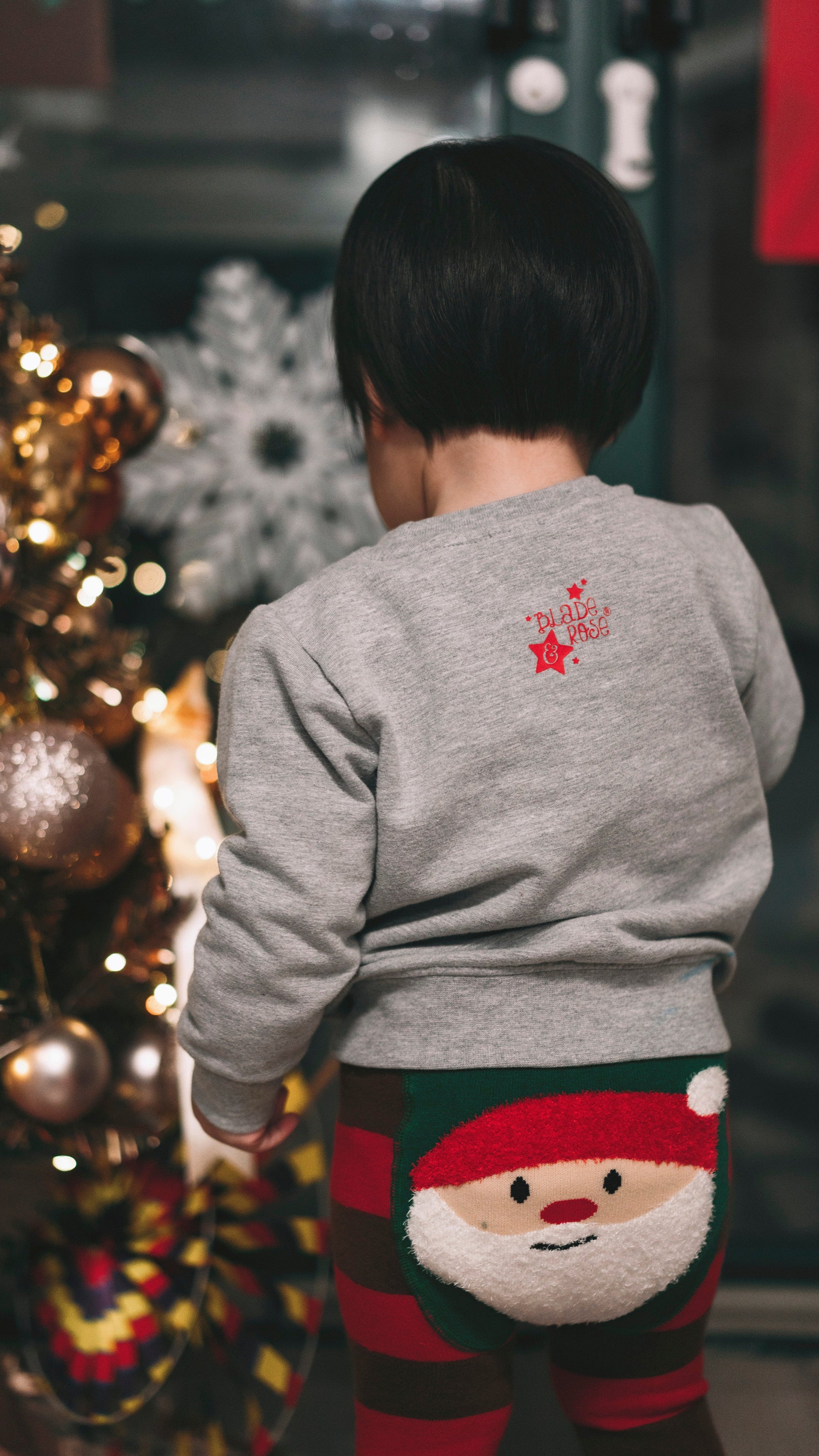 Holiday Special Offer