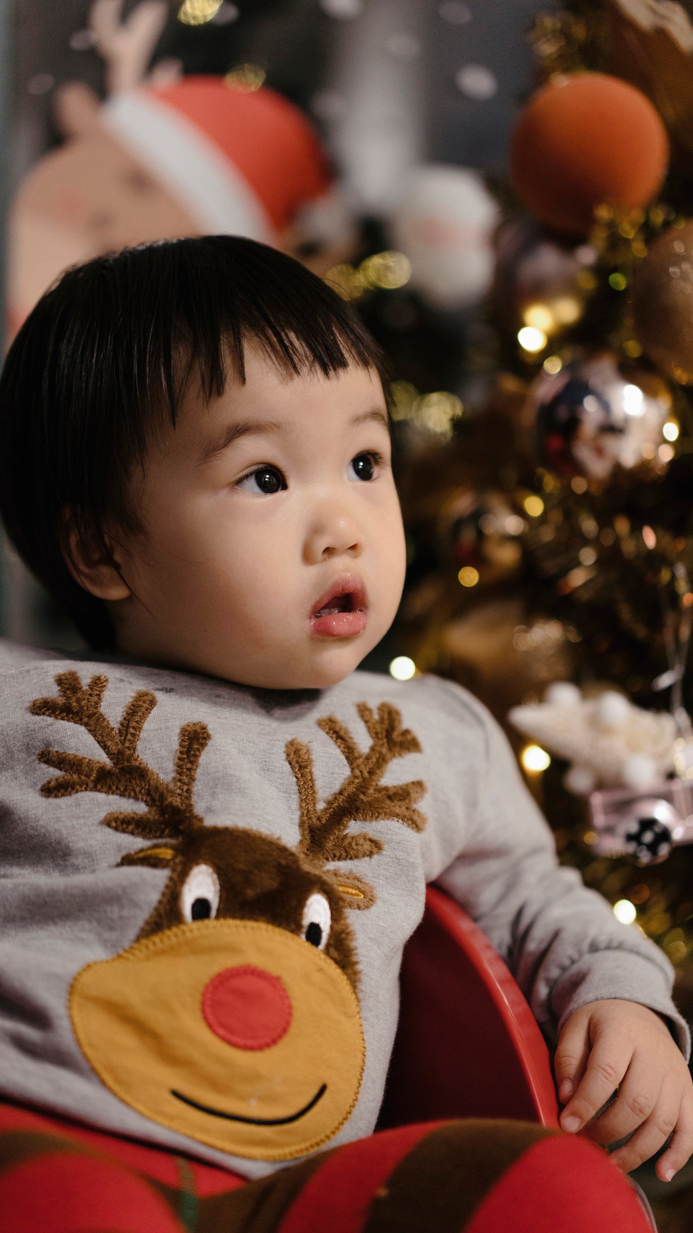 Holiday Special Offer