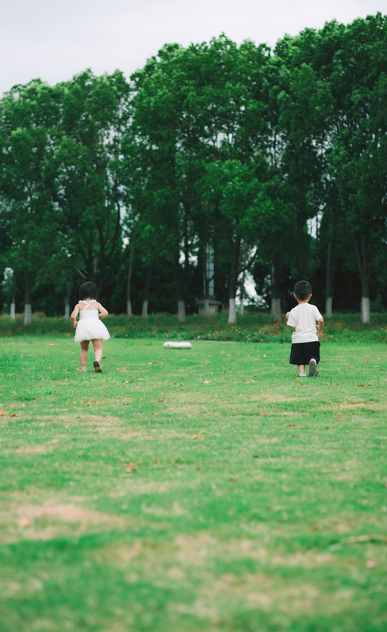 Playful Moments