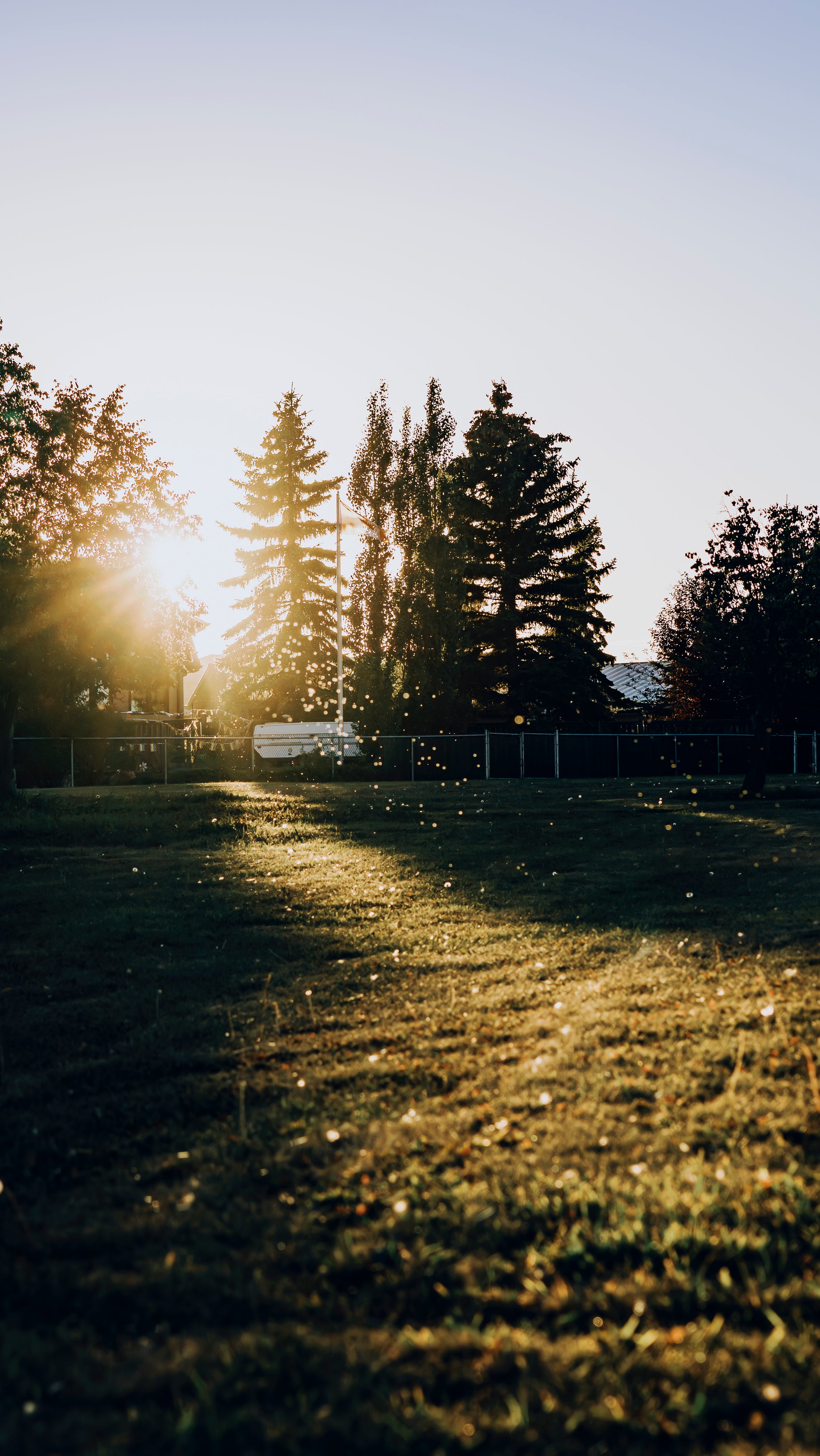 Stoney Creek · Camrose