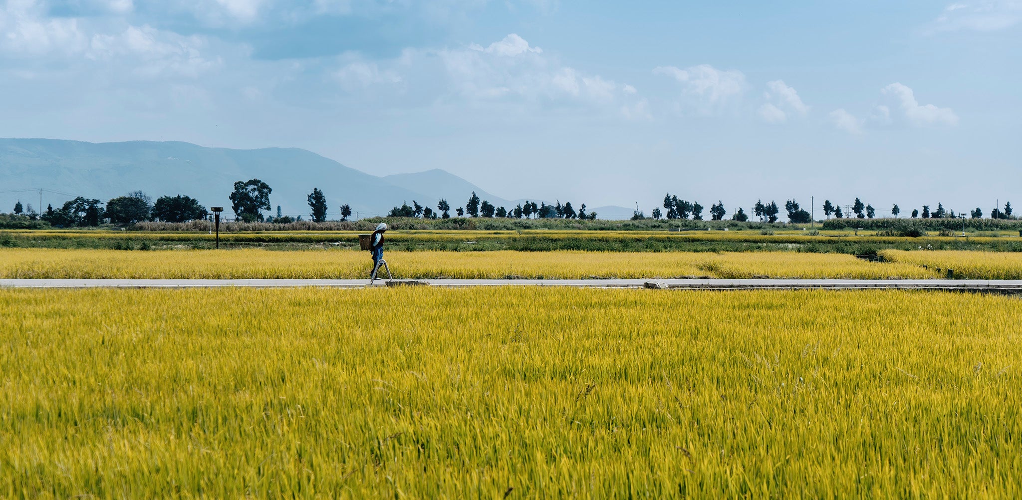 Yunnan · China
