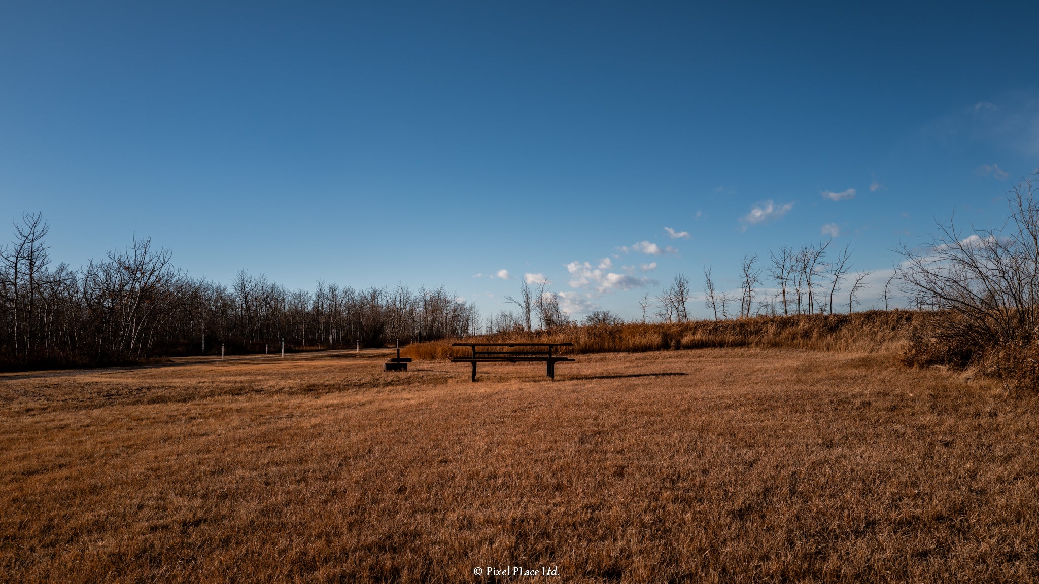 Buffalo Lake · Camrose County